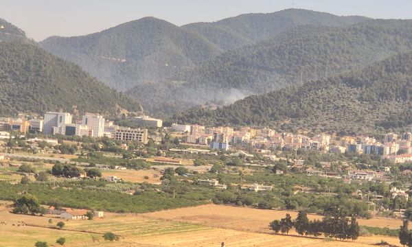 Narlıdere'de orman yangını